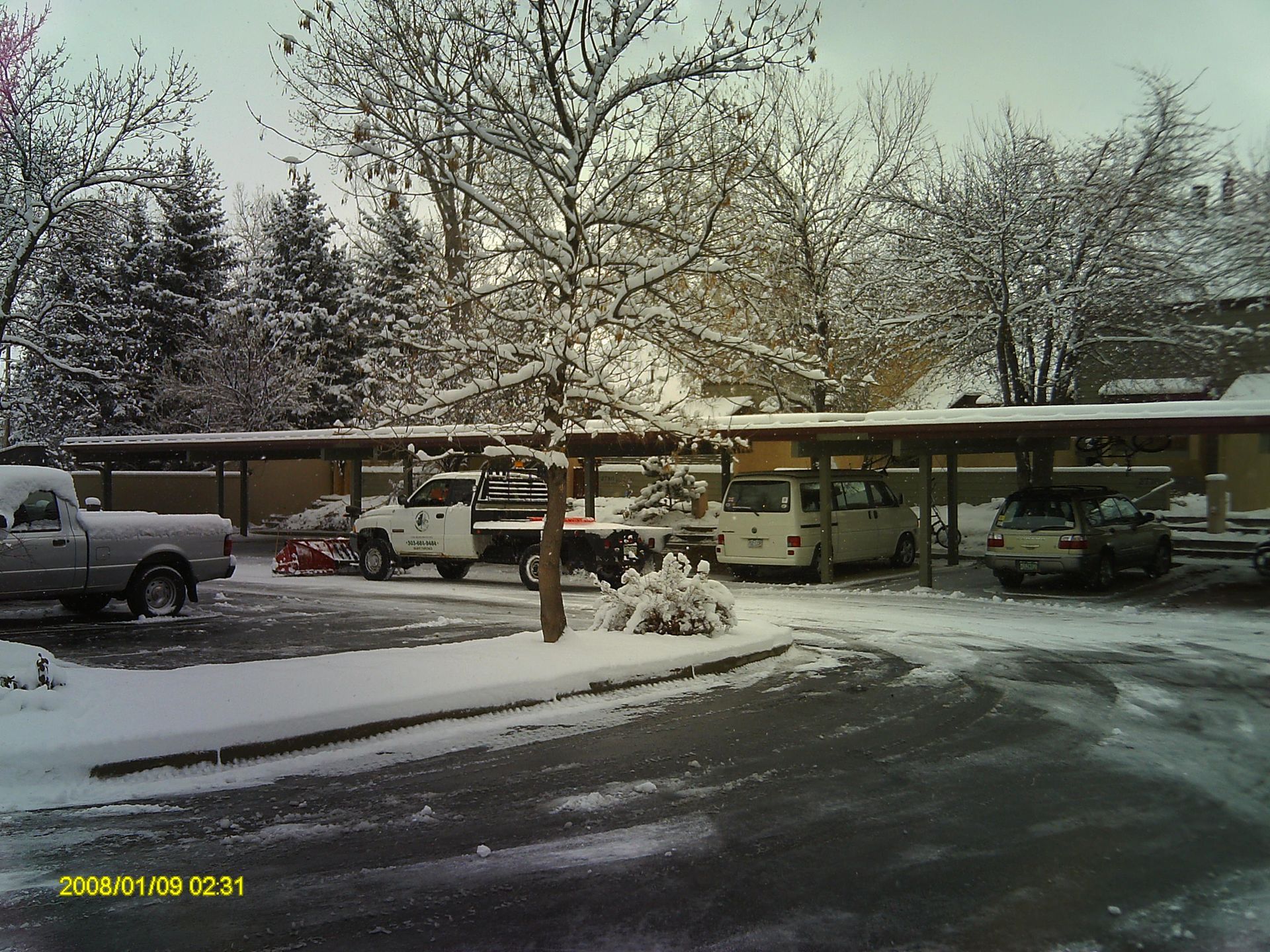 Snowy parking lot with cars under a carport. Trees and ground covered in snow.