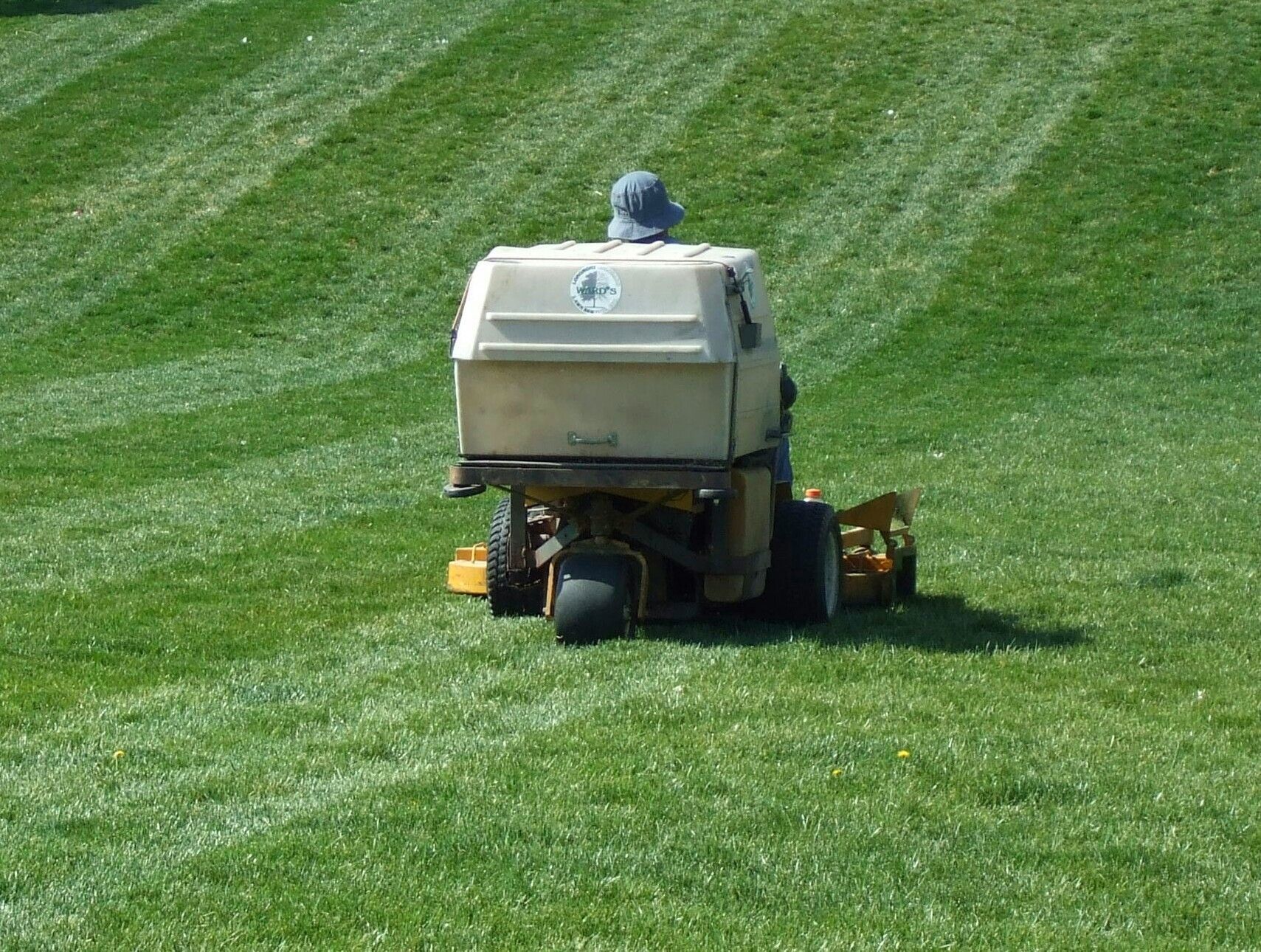 Person mowing a large lawn with a riding mower, creating striped pattern.