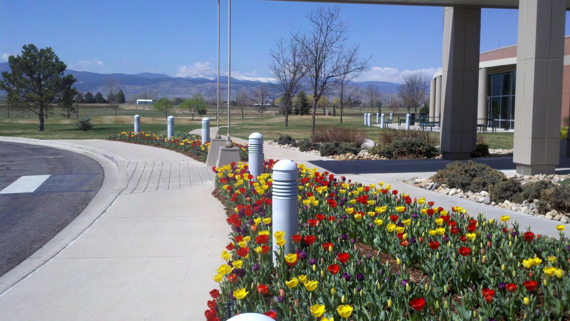Sidewalk lined with yellow and red flowers, gray bollards, and building on sunny day with mountains in the background.
