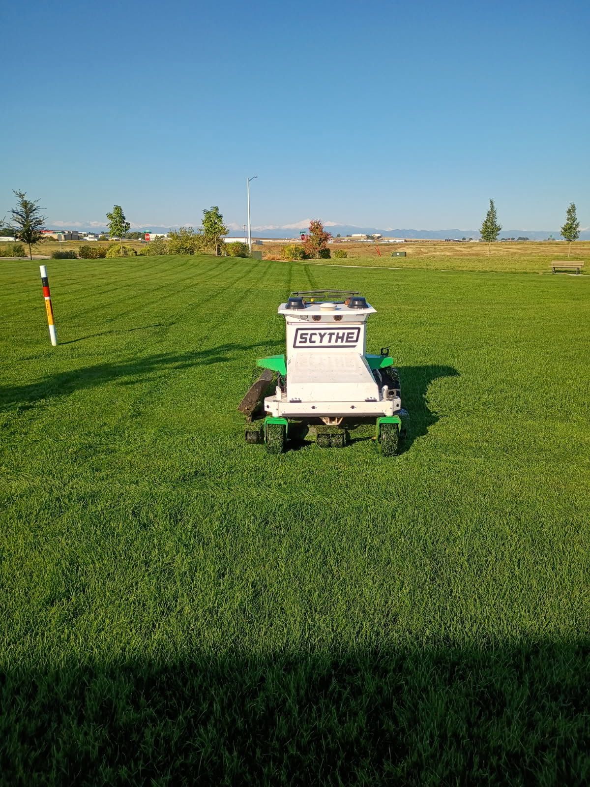 A white and green autonomous lawnmower cuts grass in a sunny field with a blue sky.