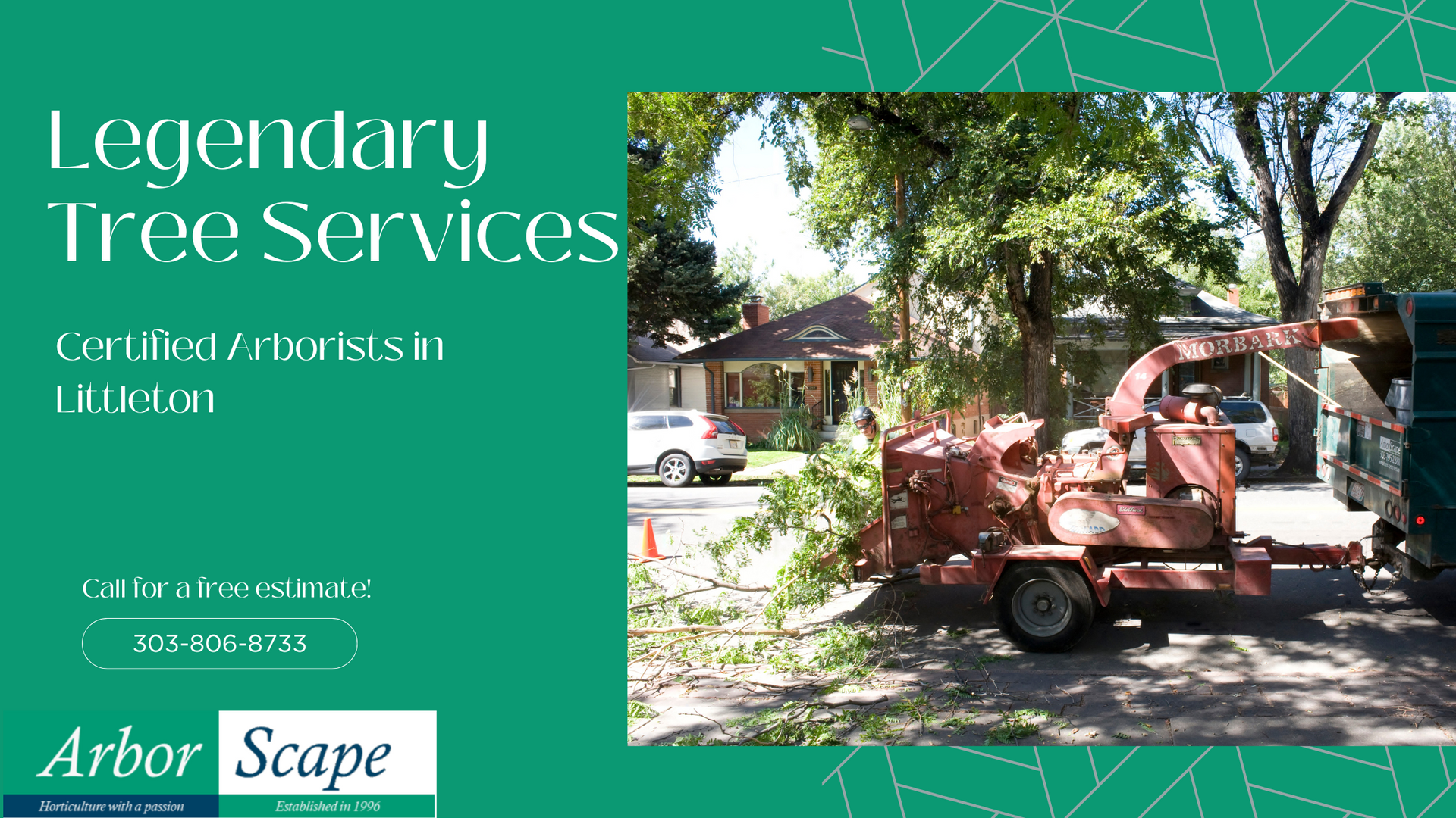 Legendary Tree Services in Littleton