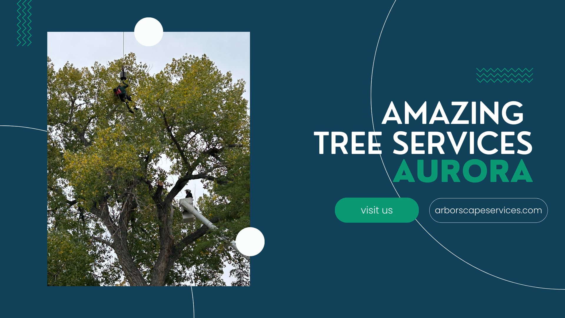 Astounding Tree Services in Aurora