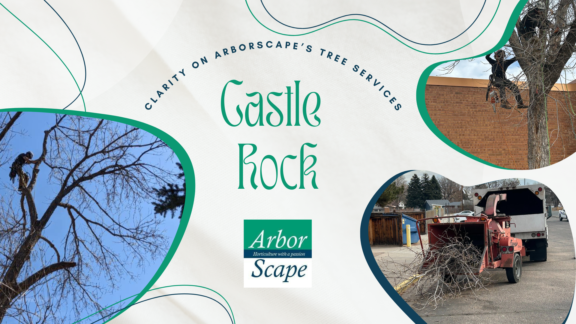 tree services in castle rock blog banner