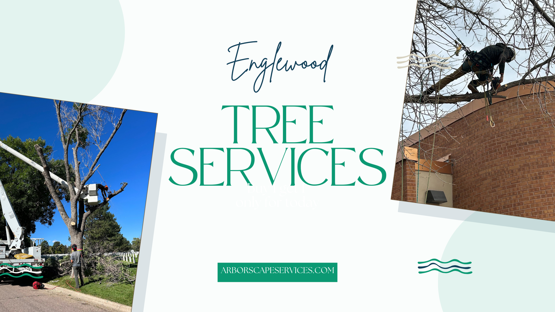 tree services in englewood blog banner