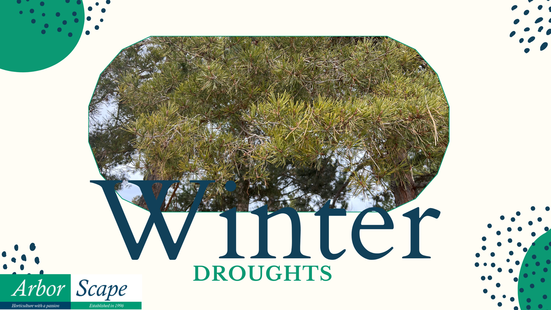 winter drought blog banner