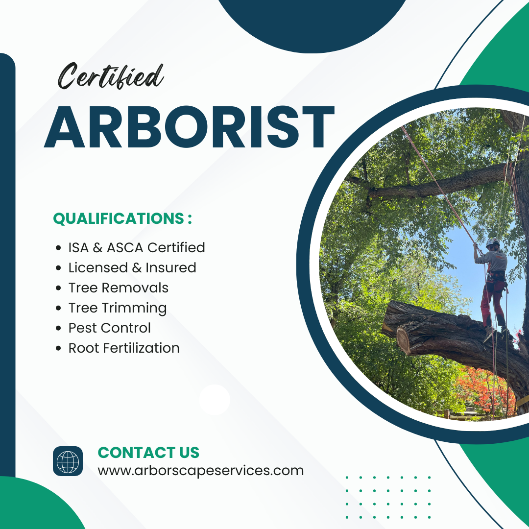 certified arborist blog banner