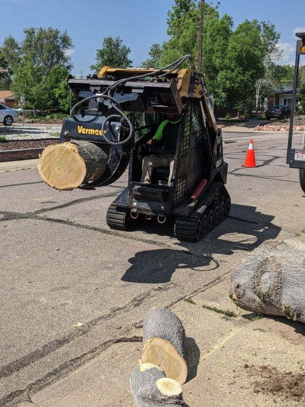 skidder with tree log performing tree services in castle rock