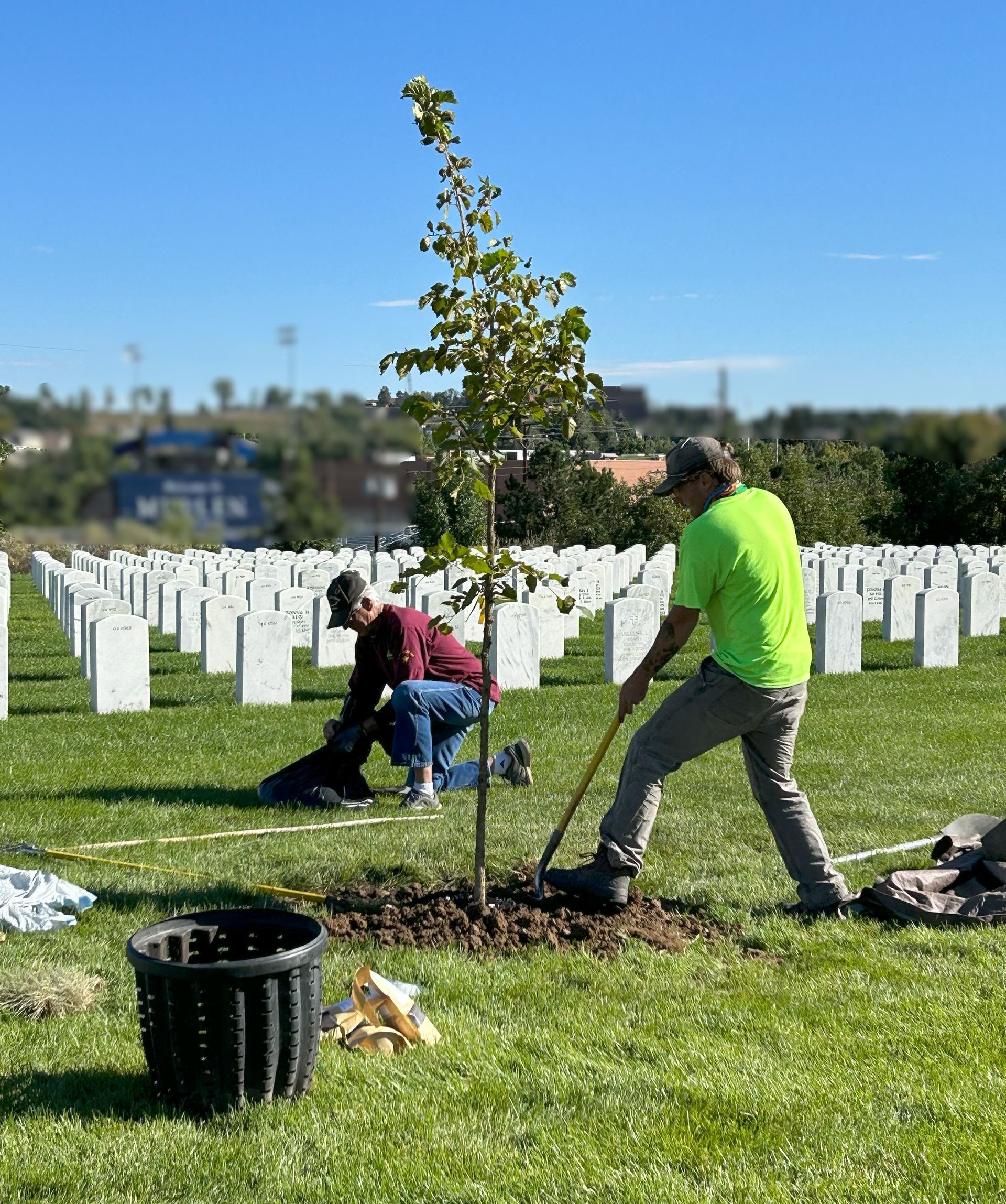 celebrate arbor day at arborscape by planting a tree