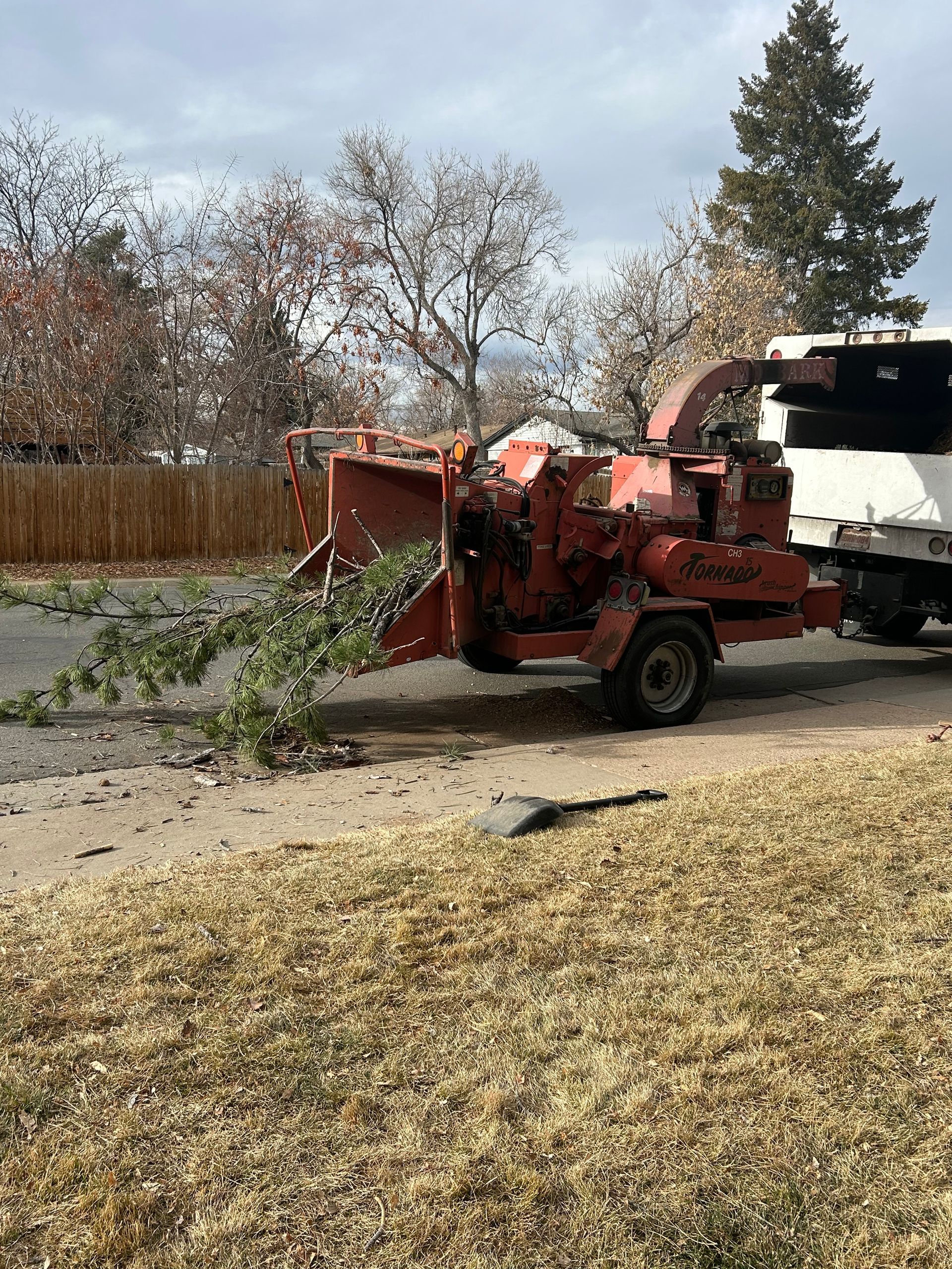 arborscape truck for doing tree services in englewood