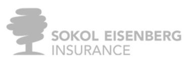 Sokol Eisenberg Insurance - logo