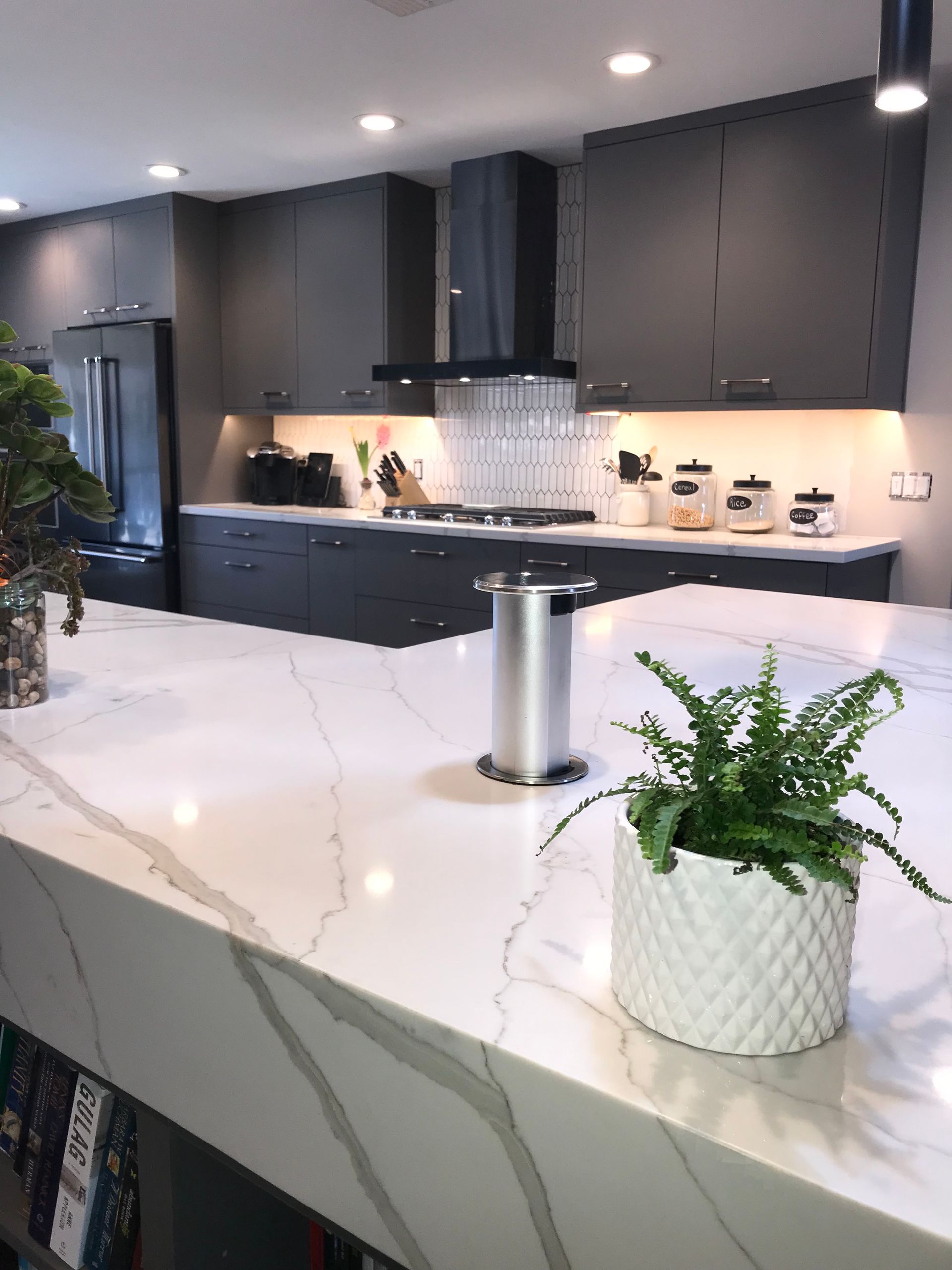 A potted plant is sitting on a counter in a kitchen.
