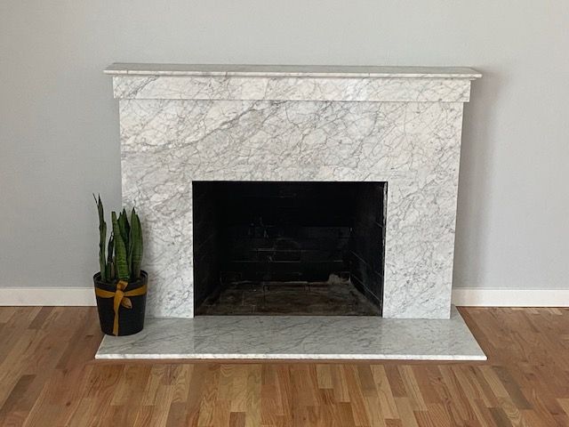 Marble fireplace with black opening and a potted snake plant on hardwood floor.