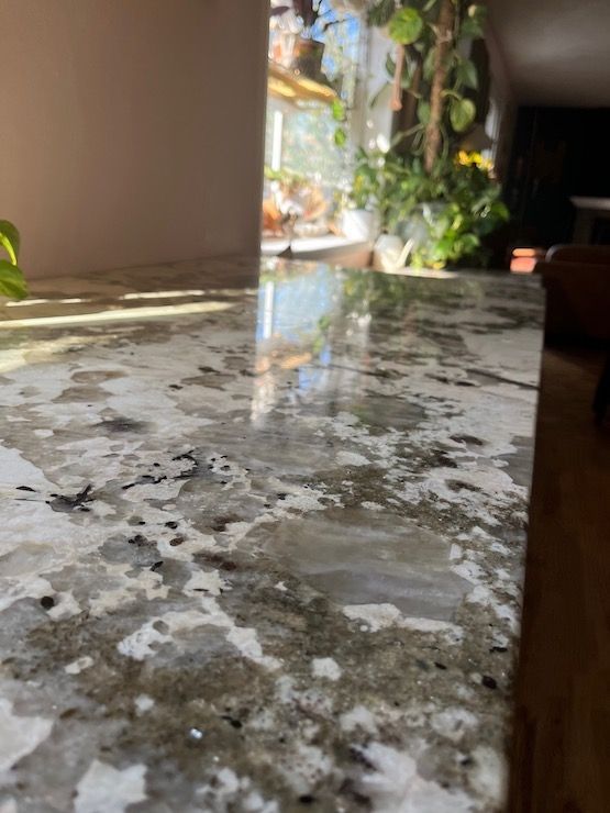 Close-up of a granite countertop reflecting sunlight from a window with green plants.