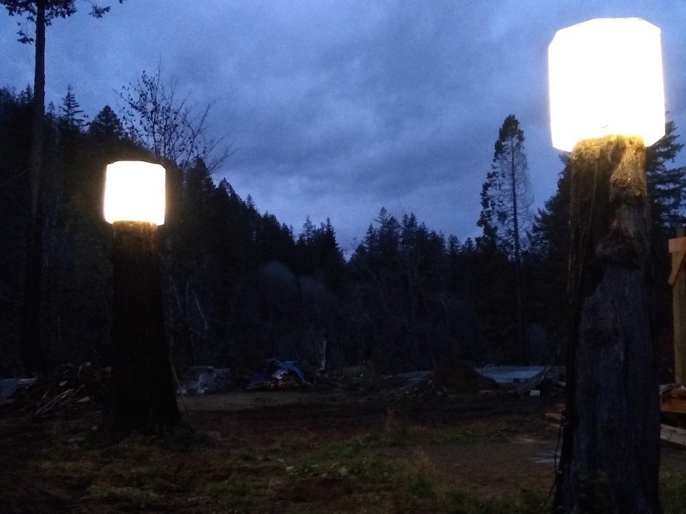 Two glowing square lamps atop tree trunks illuminate a dark yard at dusk, forest in background.