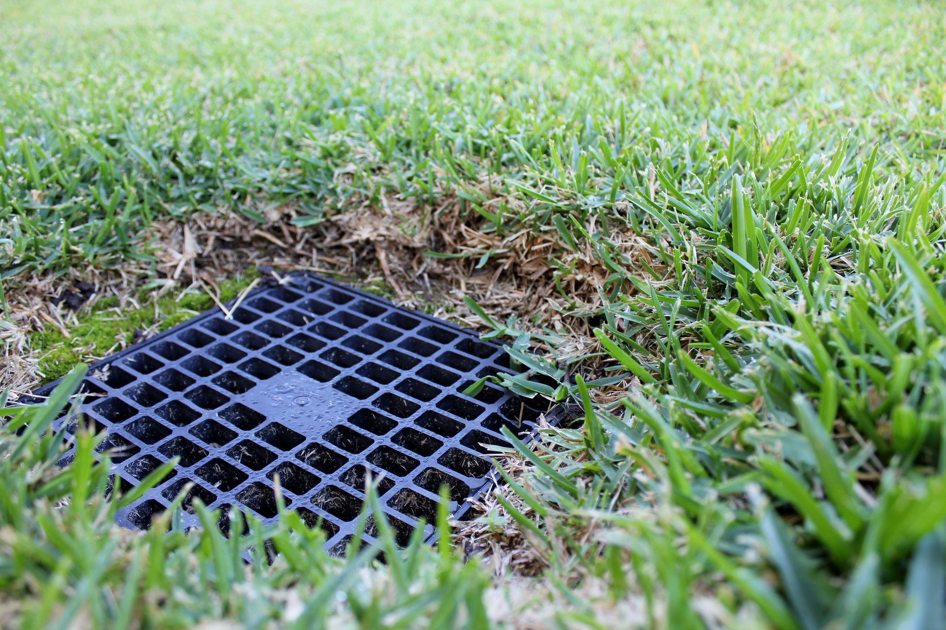 A black plastic drainage grate embedded in a green lawn, surrounded by grass and soil.