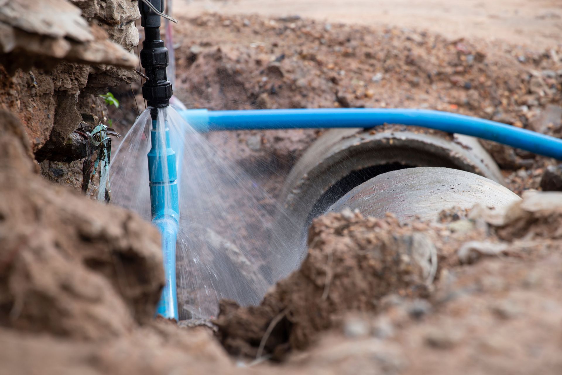 Blue irrigation pipe spraying water into a dirt trench near a hose connection