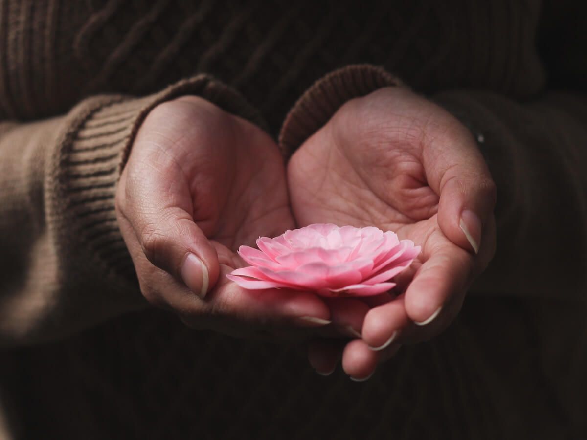 Hands holding a pink flower blossom against a dark background