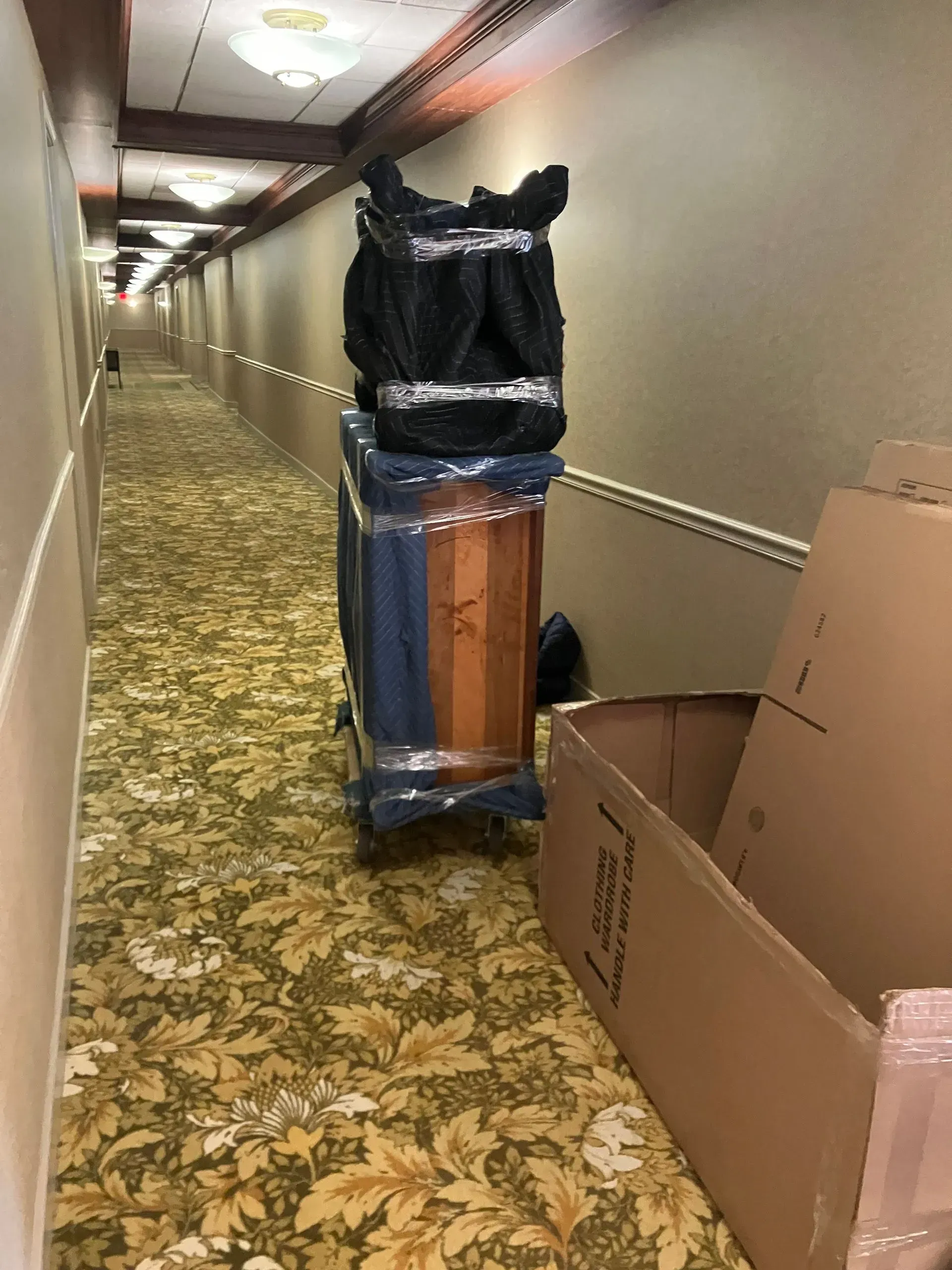 A hallway with luggage on a cart and boxes. The carpet is patterned; the walls are beige.