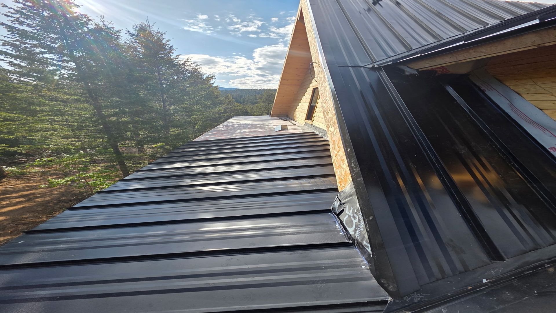 A house with a black roof is surrounded by trees.