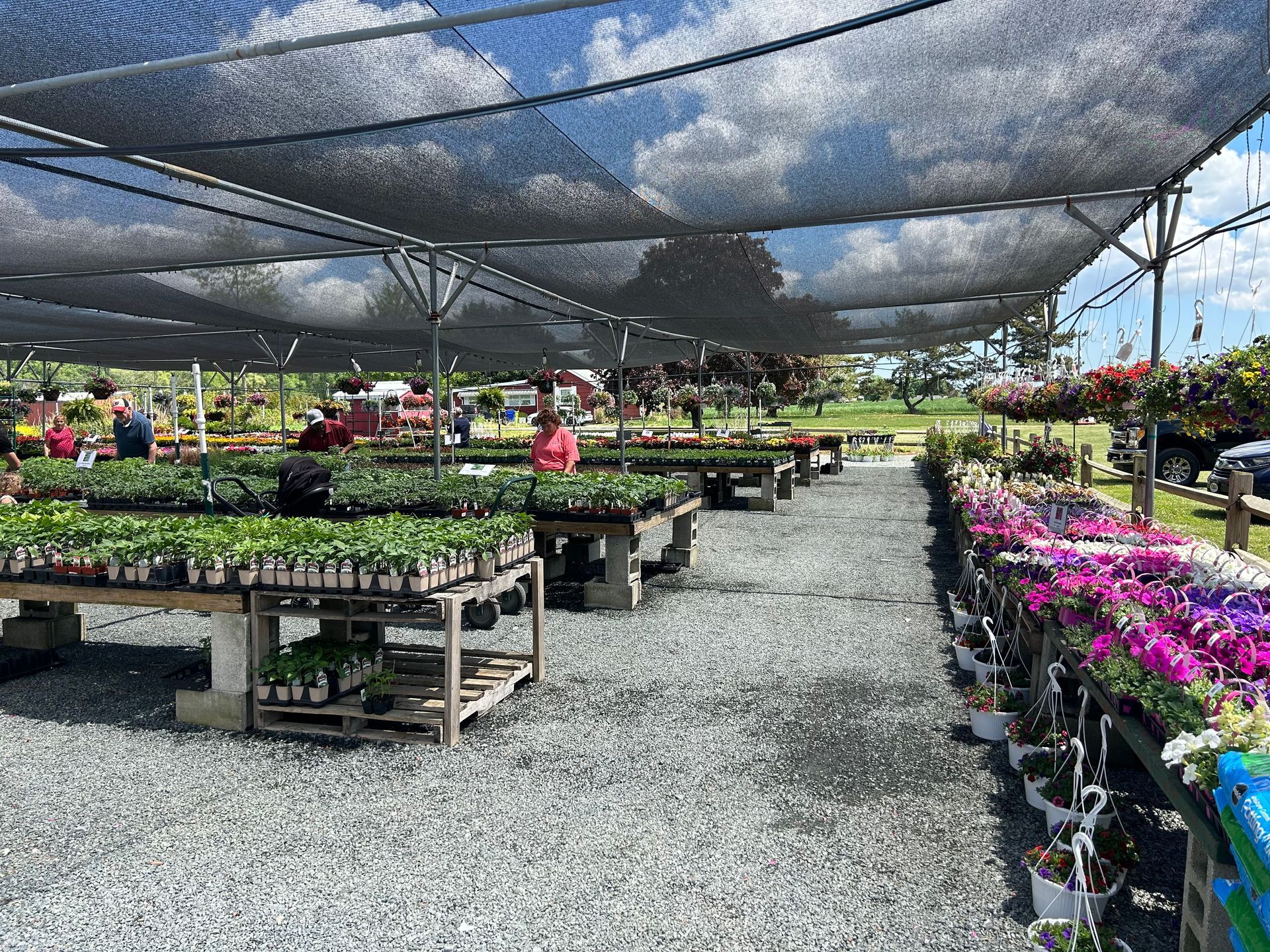 A greenhouse filled with lots of potted plants and flowers