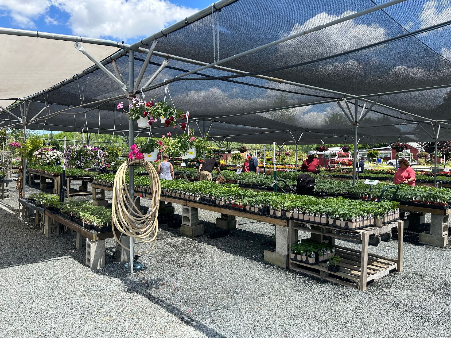 A greenhouse filled with lots of plants and a hose