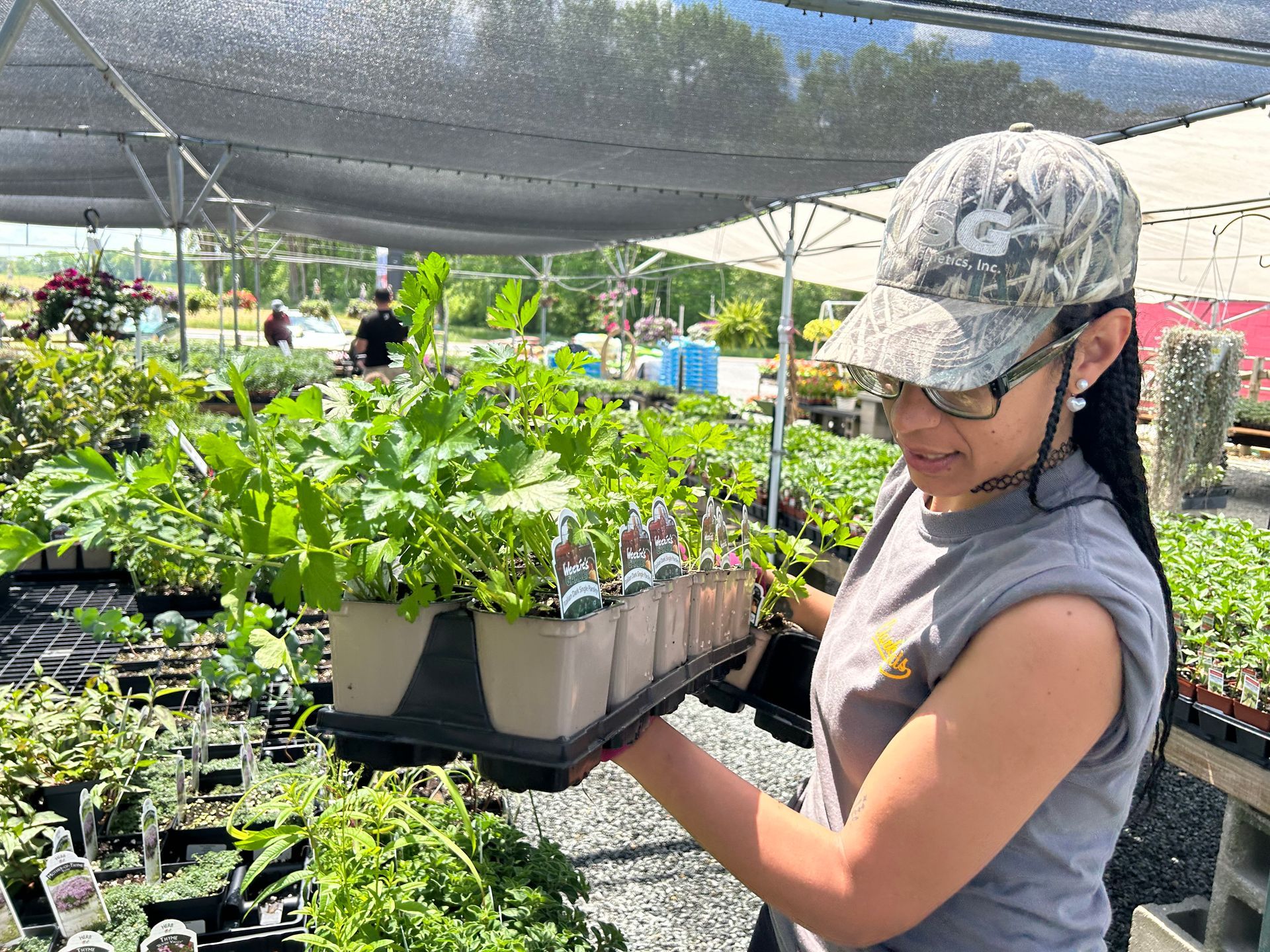 A woman is holding a tray of potted plants in a greenhouse