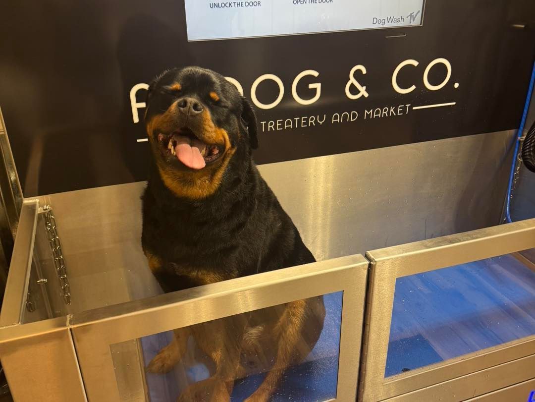 A happy Rottweiler smiles, tongue out, in a stainless steel dog wash station; the sign says
