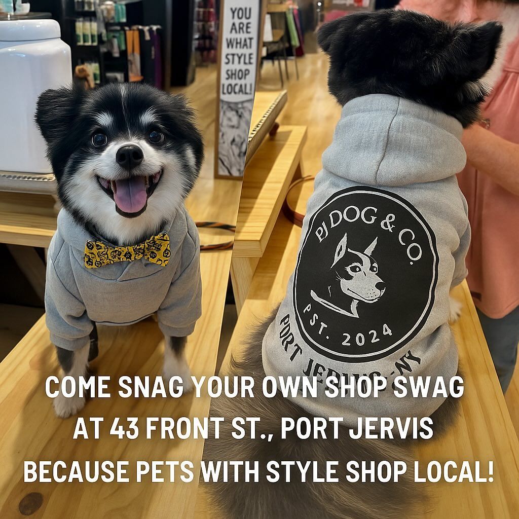 Two dogs wearing hoodies pose at a shop,