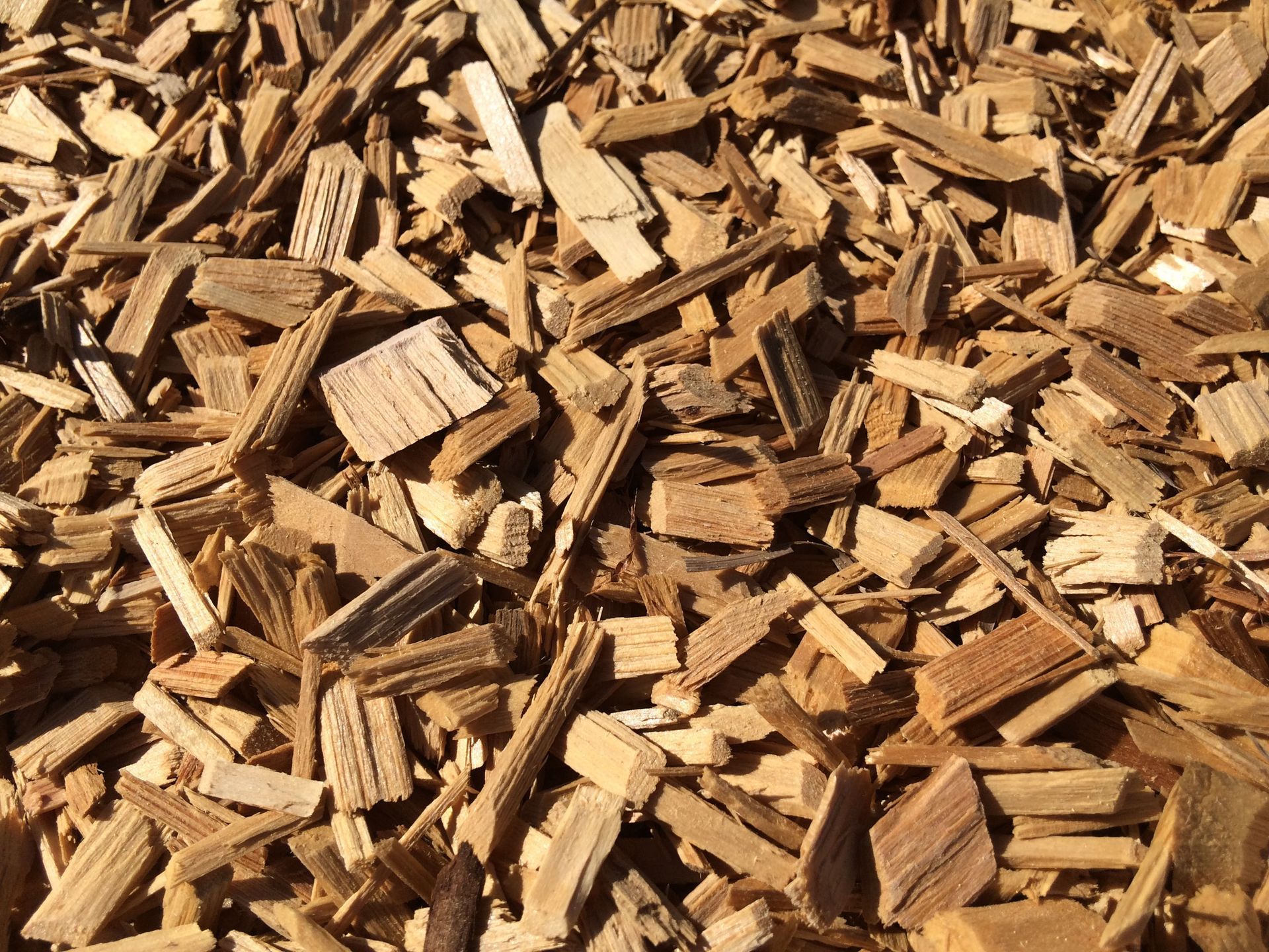 Close-up of a pile of wood chips, various shades of brown and beige.