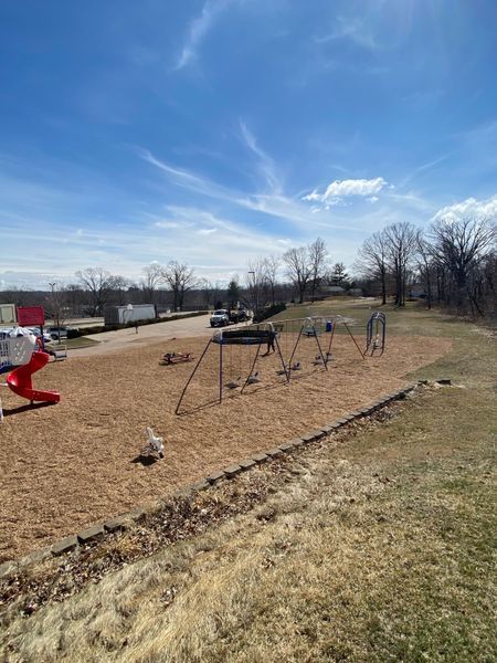Playground with swings, slides, and wood chips under a blue sky.