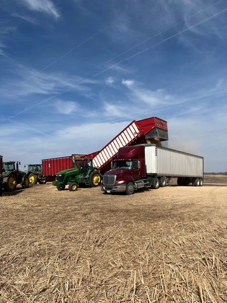 Harvesting equipment loading a semi-truck with a tractor, red grain carts, and a blue sky.