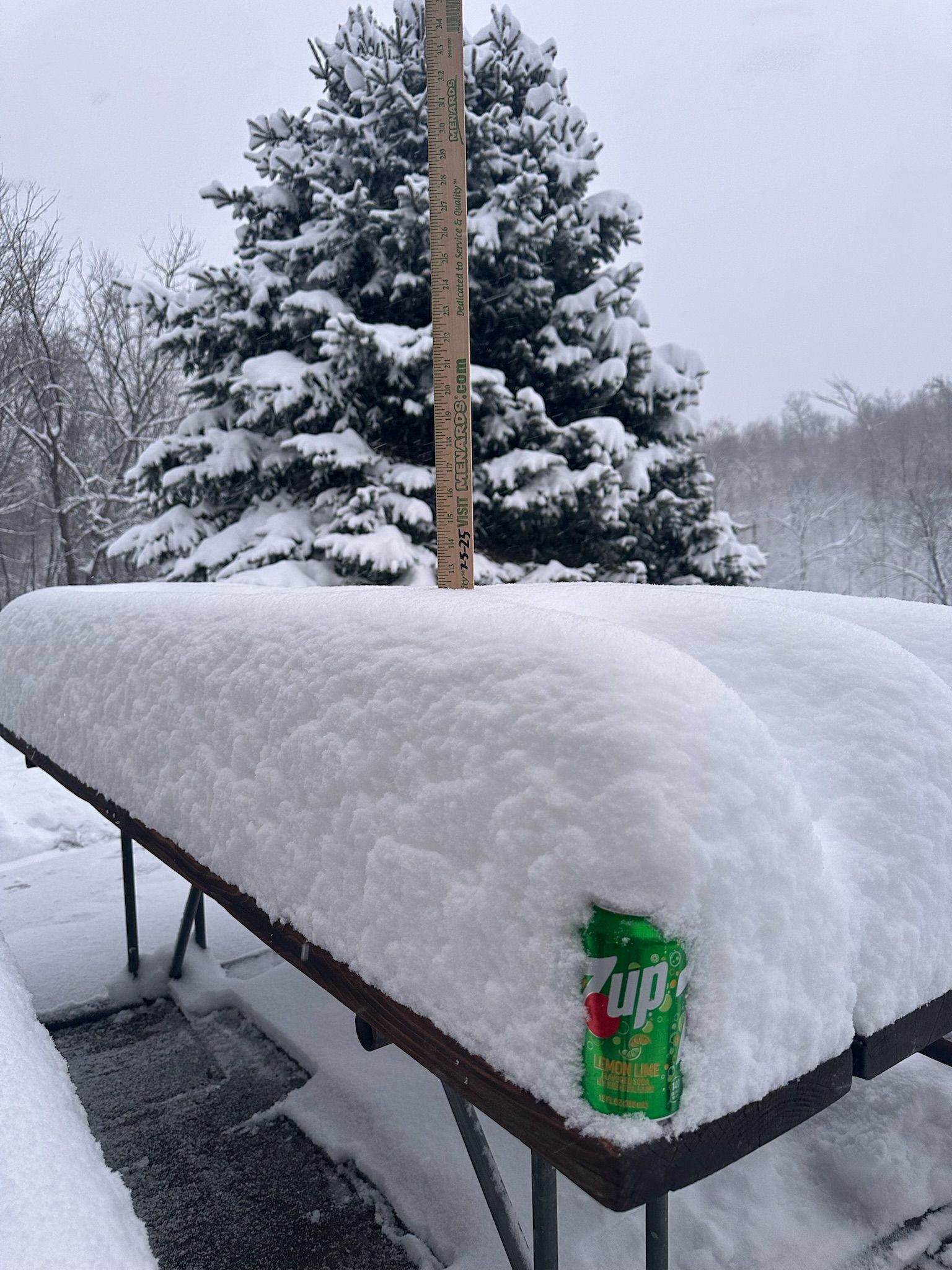 Snow-covered picnic table with a soda can and a ruler to measure the snow depth outdoors.