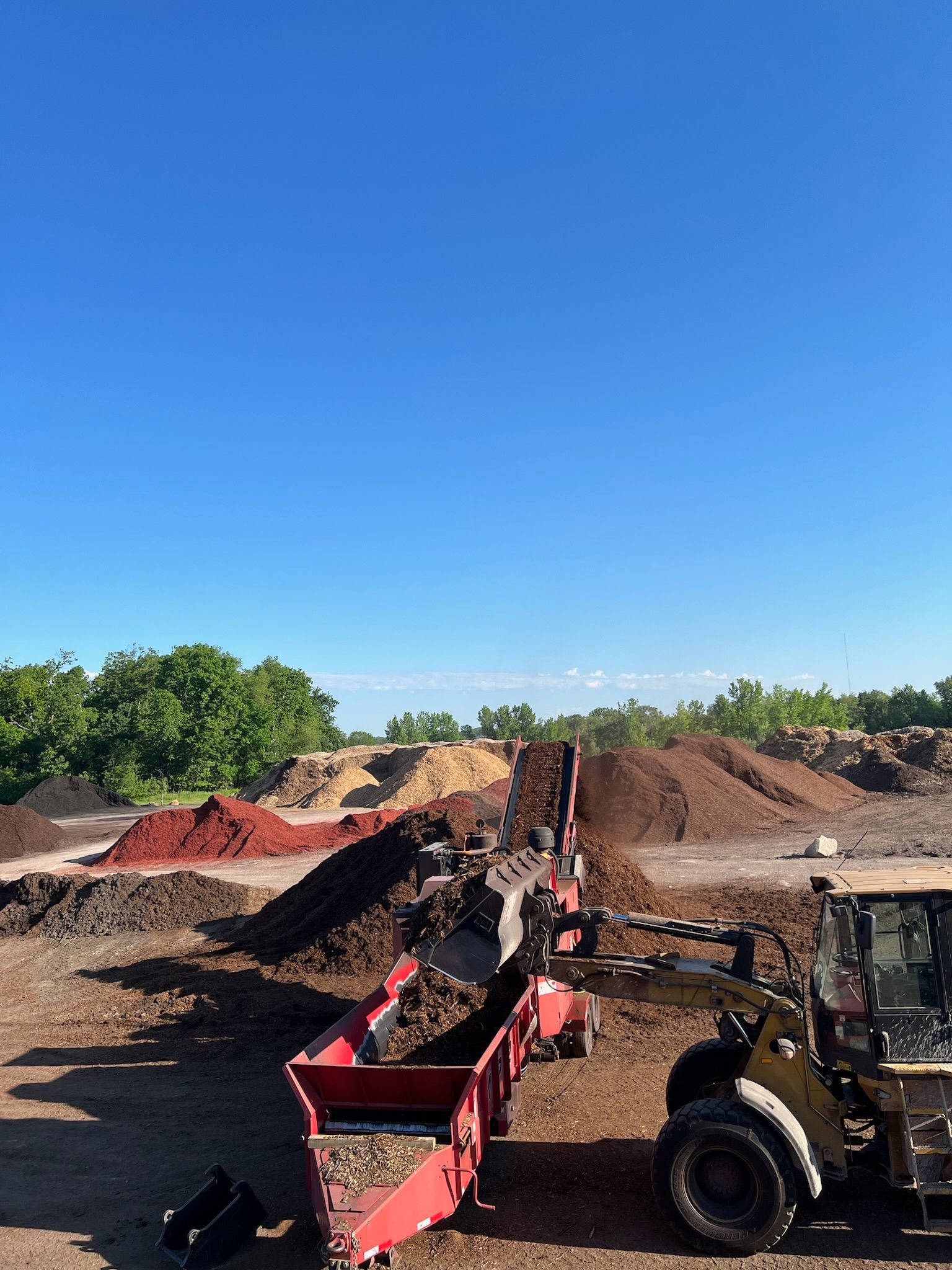 A front-end loader feeds a conveyor, moving mulch against a bright blue sky. Other mulch piles in the background.
