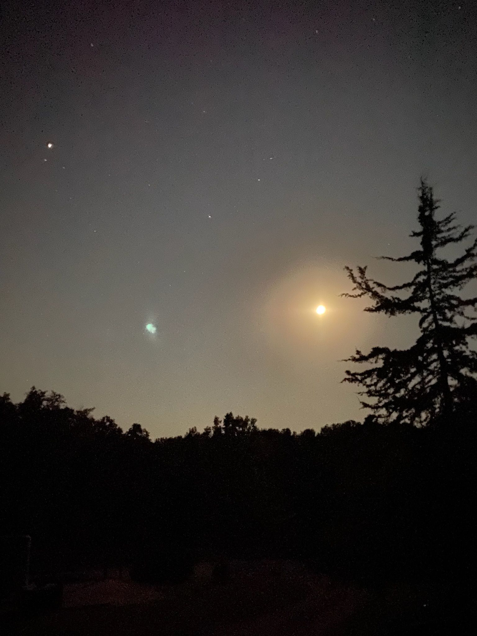 Night sky with moon, stars, and silhouetted trees. Bright moon glows, surrounded by haze.