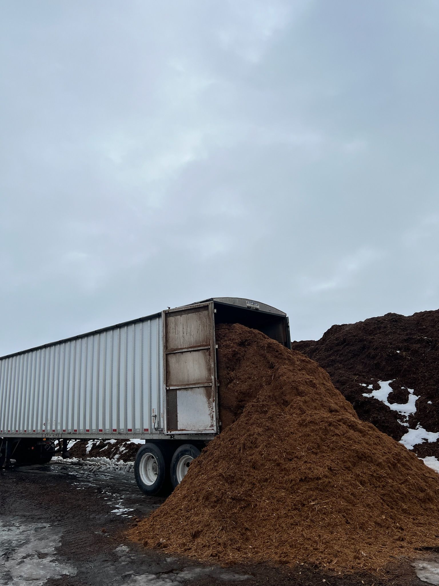 A semi-truck unloading brown wood chips onto a large pile, under a cloudy sky.