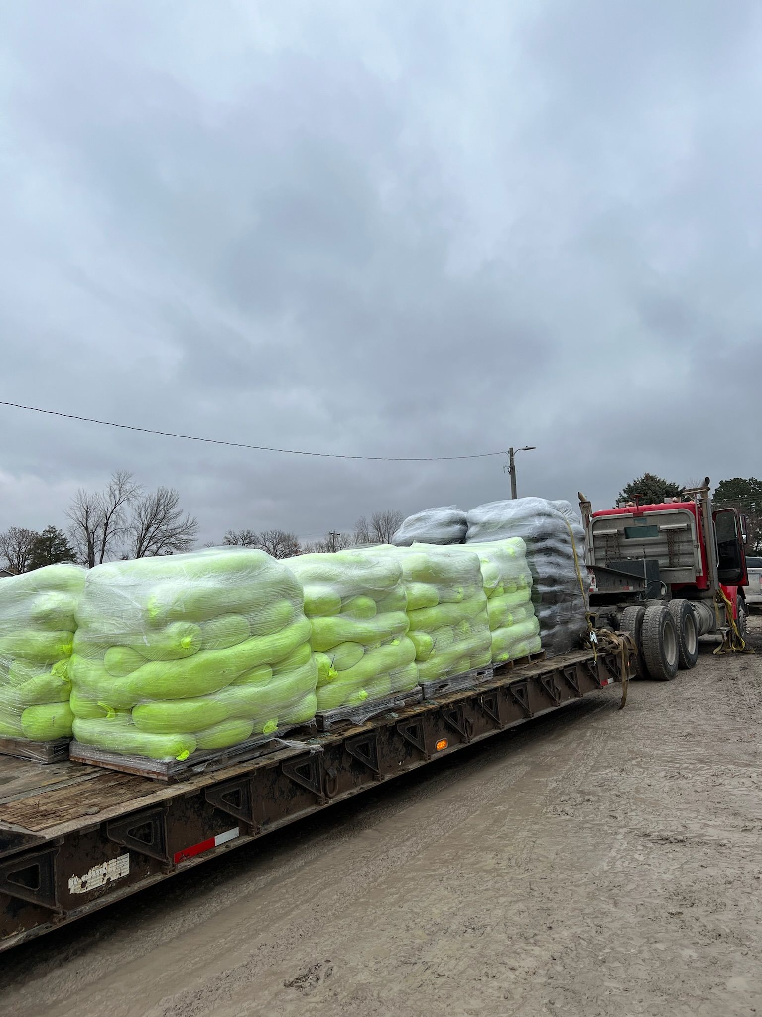 Truck carrying numerous wrapped green and gray bags on a flatbed trailer under a cloudy sky.
