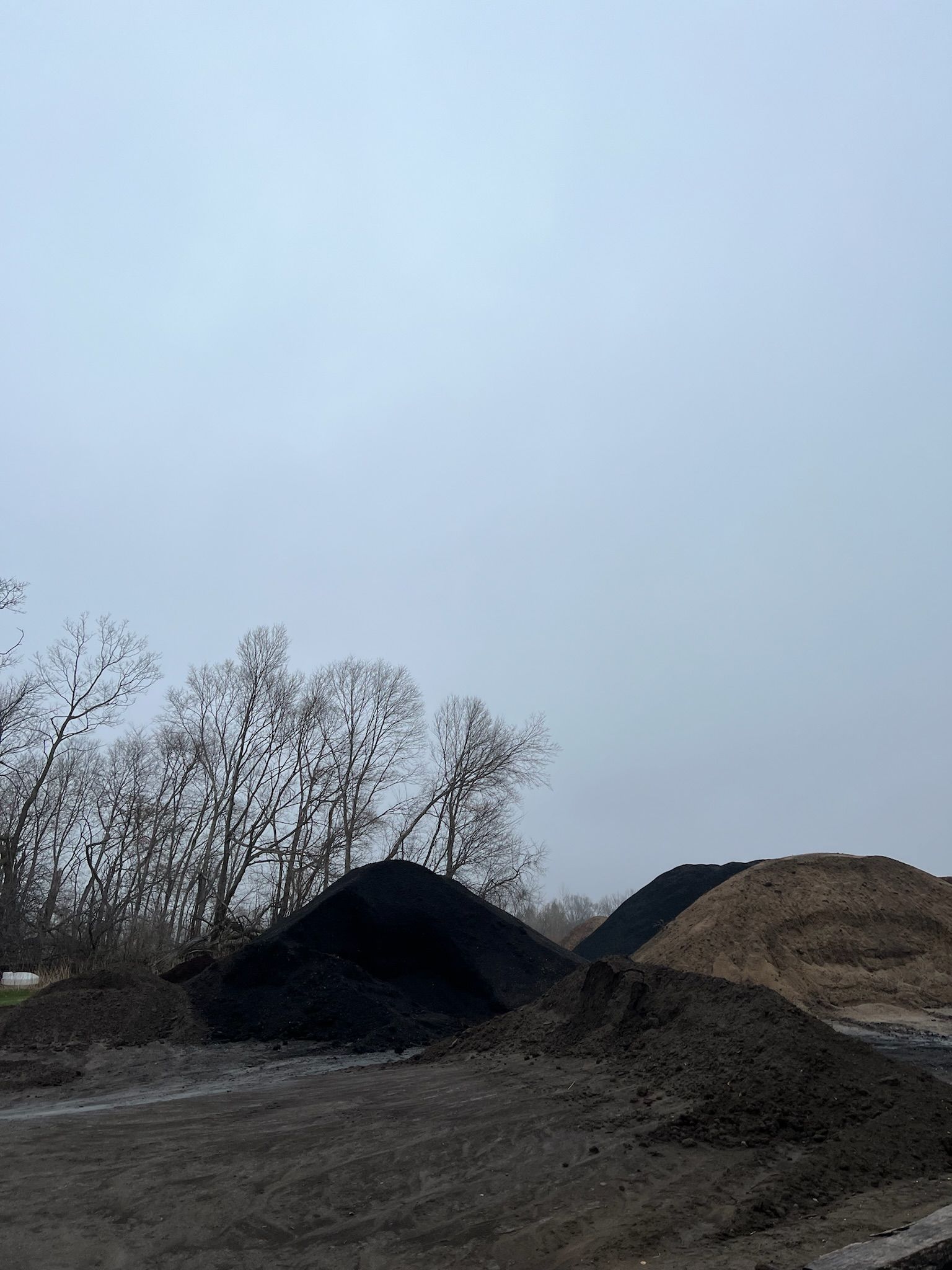 Piles of dark material against a gray sky, with bare trees in the background.