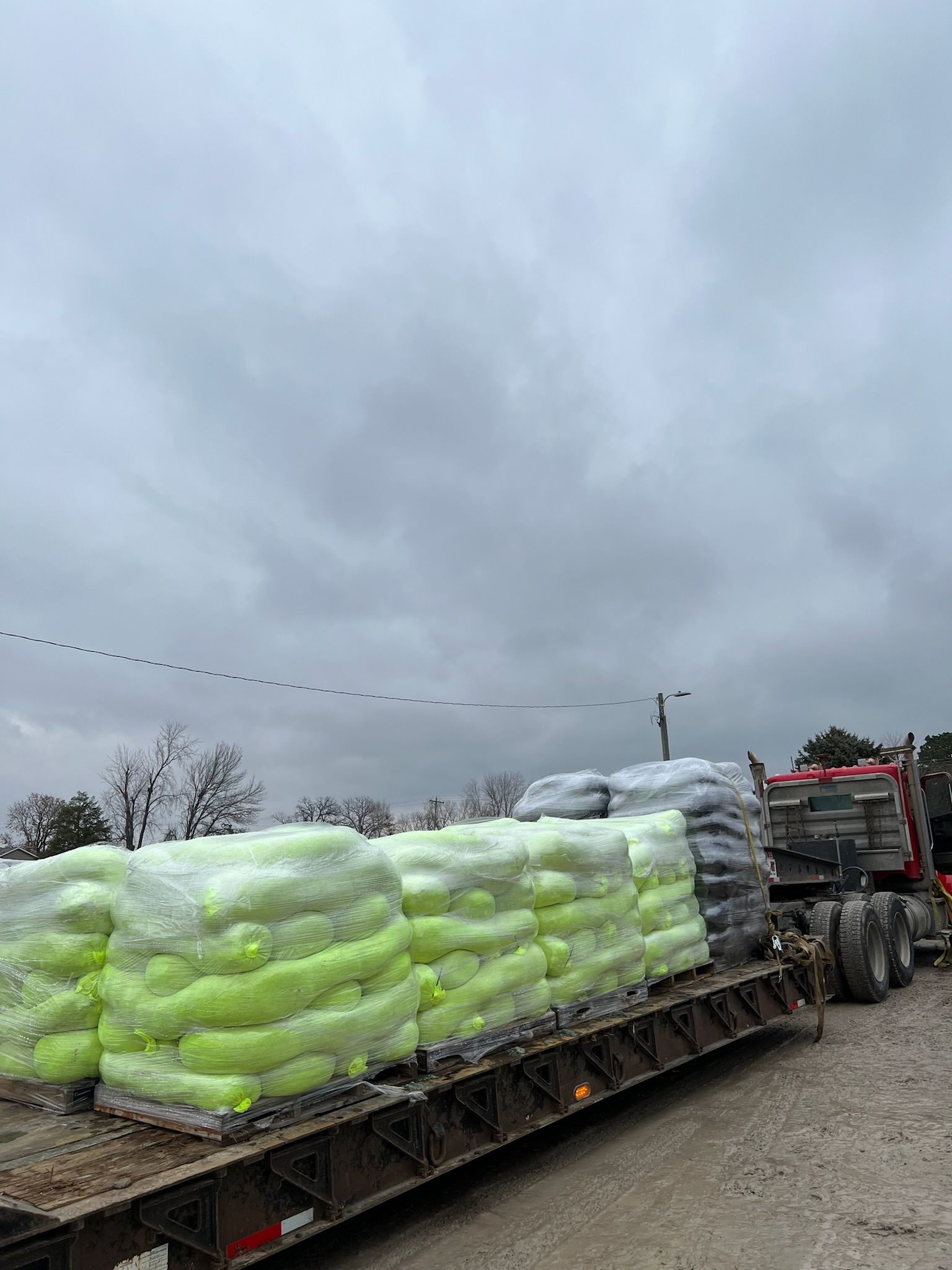 A flatbed truck loaded with bright green and gray wrapped packages under a cloudy sky.