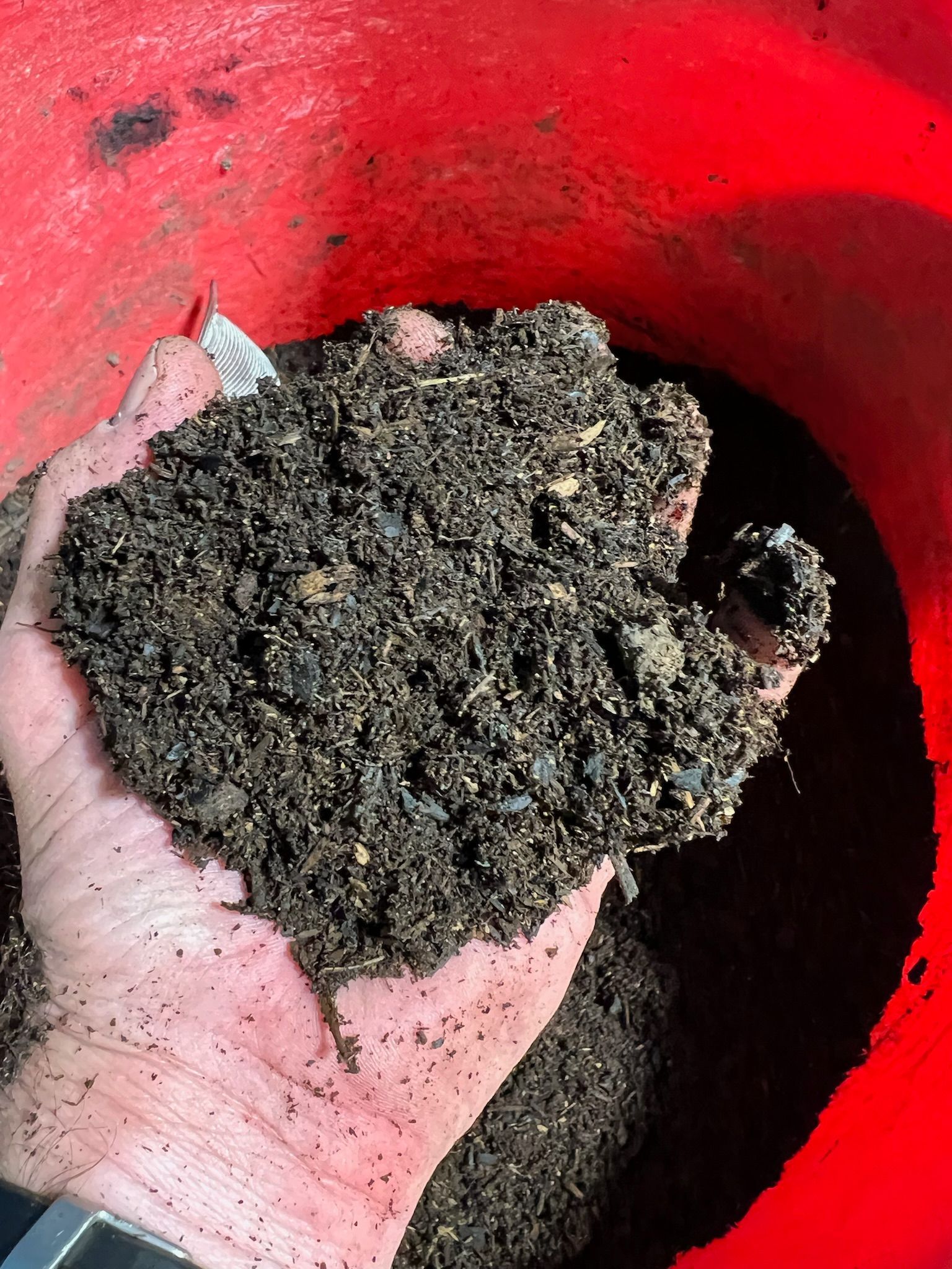 Handful of dark, rich compost held over a red bucket.
