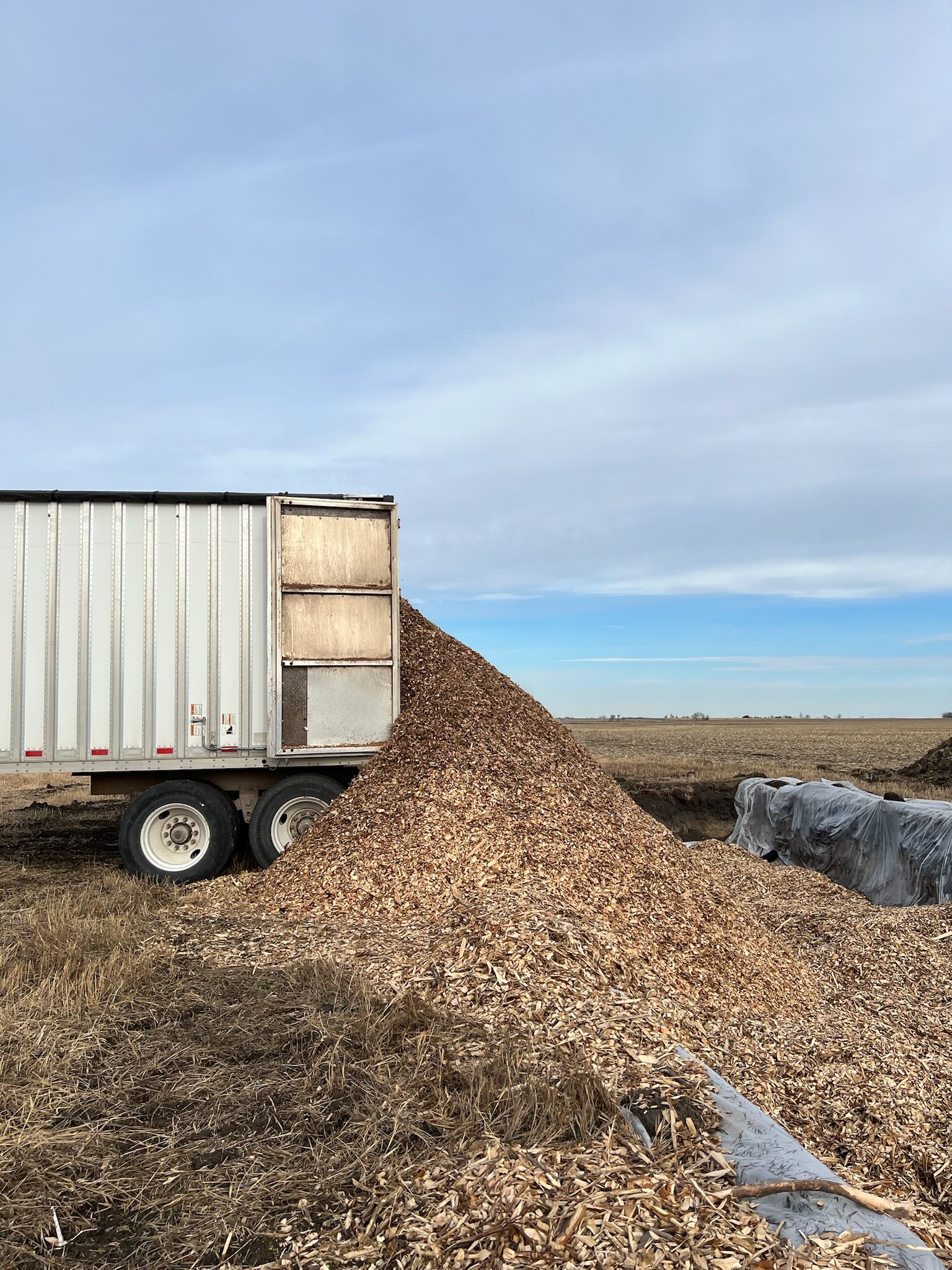 Trailer dumping a large pile of wood chips in a field under a partly cloudy sky.