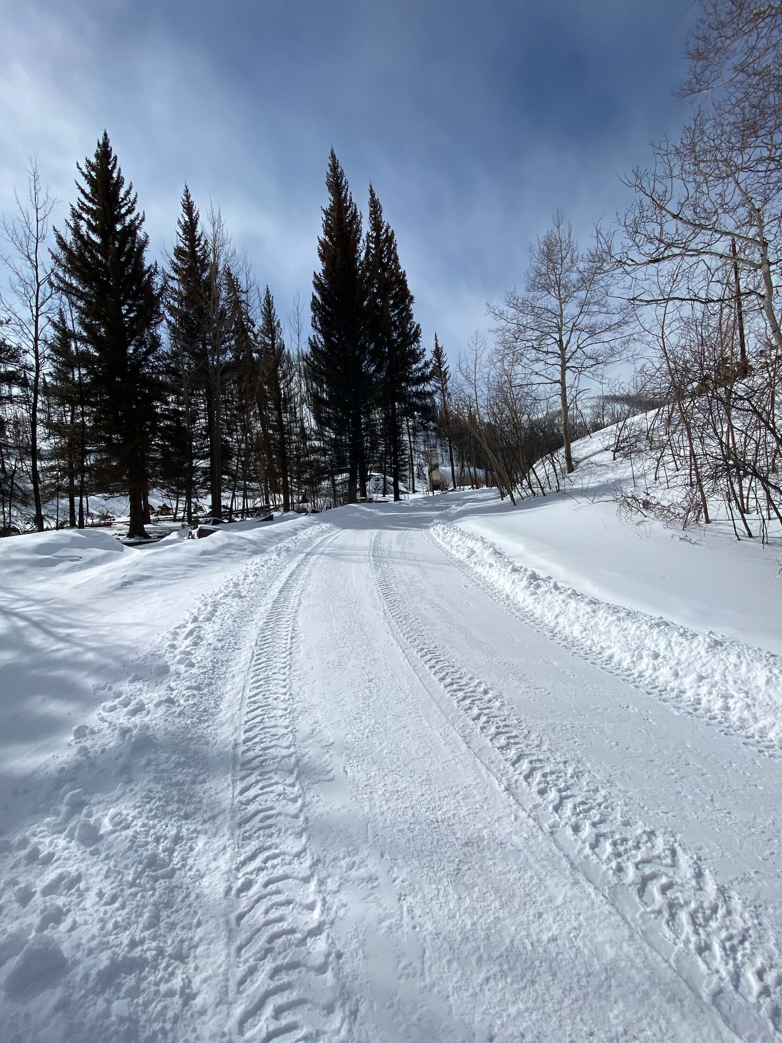Snowy forest path with tire tracks under a partly cloudy sky.