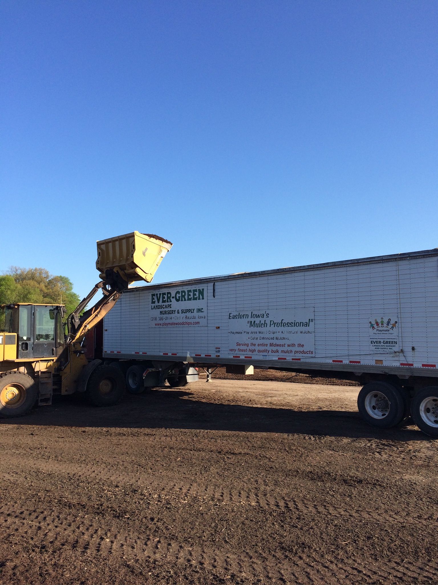 Yellow loader dumping material into a white trailer under a blue sky.