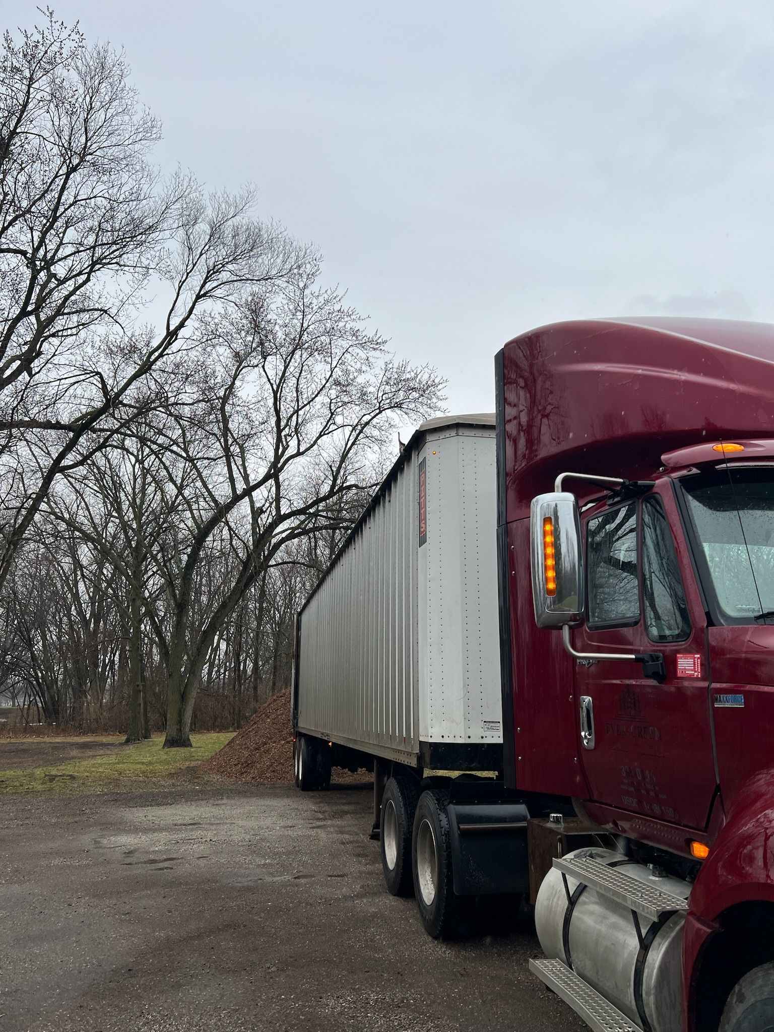 Red semi-truck with a white trailer parked on a gravel area next to bare trees under a cloudy sky.