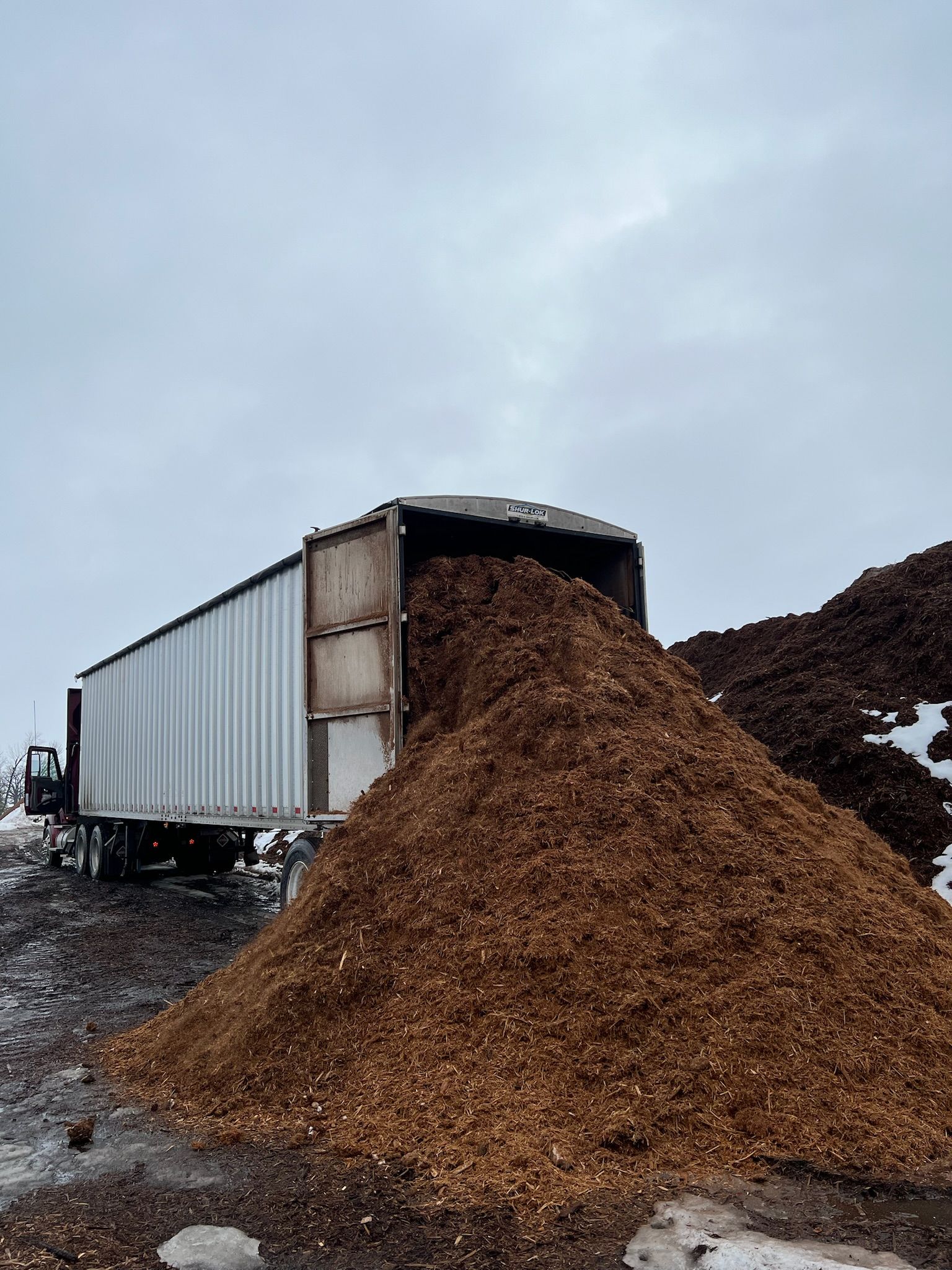 A semi-truck unloading a large pile of wood chips onto a snowy ground under a cloudy sky.