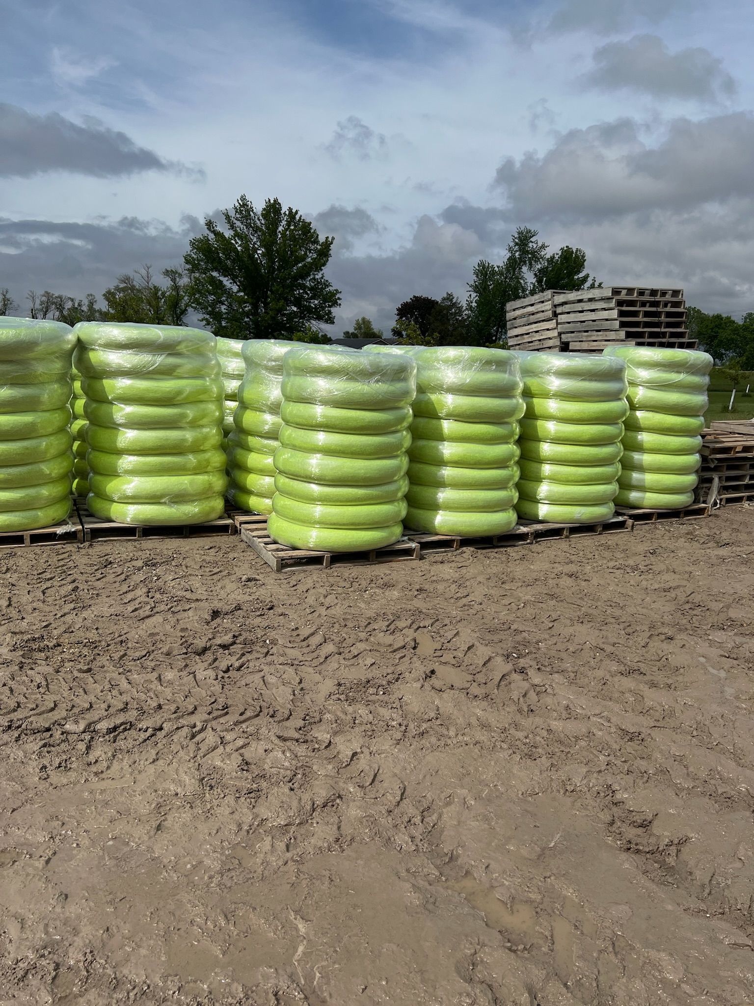 Pallets of stacked, bright green hay bales, outdoors under a cloudy sky.