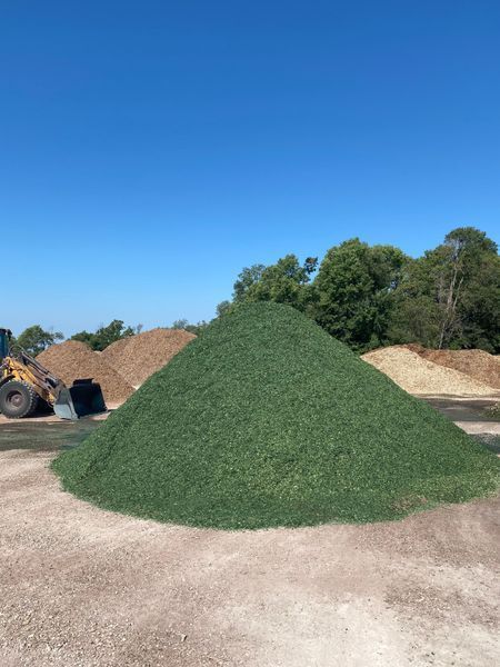 Large pile of green mulch outdoors under a clear blue sky.