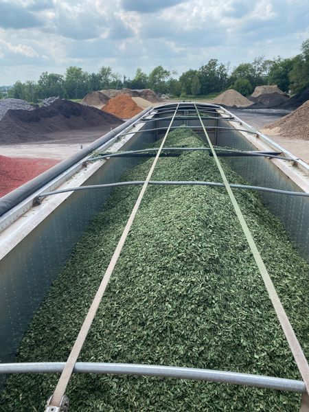 Large truck bed filled with green shredded material, likely mulch, at a materials yard.