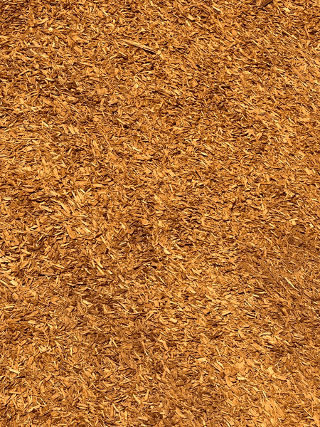 Brown wood mulch covers the ground.