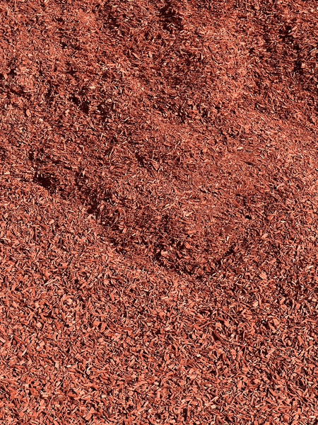 Reddish-brown mulch covering the ground, likely in a garden or landscaping setting.
