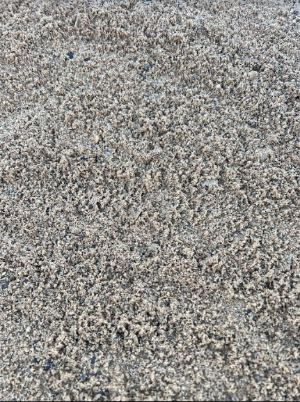 Close-up view of textured, light-colored sand with tiny pebbles.